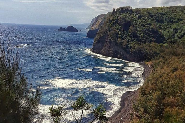 The 11 Best Hikes on the Big Island, Hawaii (2023)