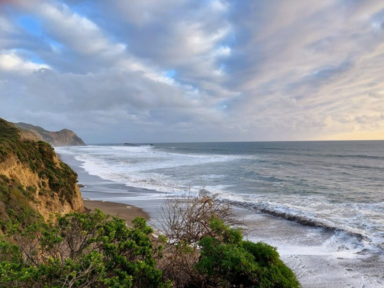 Point Reyes National Seashore: Bear Valley to Coast Trail